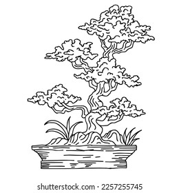 design illustration asian bonsai tree outline