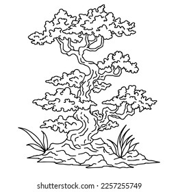 design illustration asian bonsai tree outline