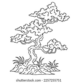 design illustration asian bonsai tree outline