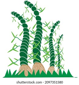 design illustration of a bamboo tree with some various concept design style