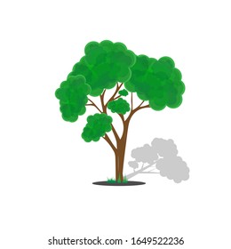 design illustration of a green colored tree shape