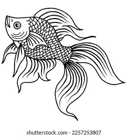 design illustration outline asian gold fish