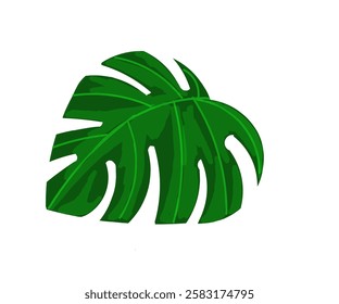 Design illustration of Tropical green palm leaf vector