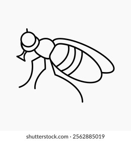 Design Illustration vector graphic of fly icon with line style. Suitable for anything related to animals