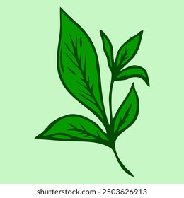 Design Illustration | Vector leaf icon illustration for logo.