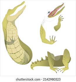 Design illustration vector puzzle crocodile