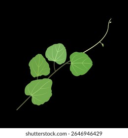 A design inspired by the arrangement of leaves at the top of a climbing plant stem.