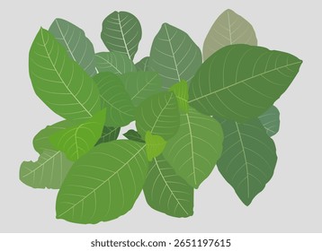 A design inspired by a collection of plant leaves growing in a beautiful garden.