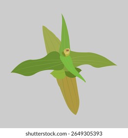 A design inspired by the tips of leaves stacked with flower buds about to bloom.