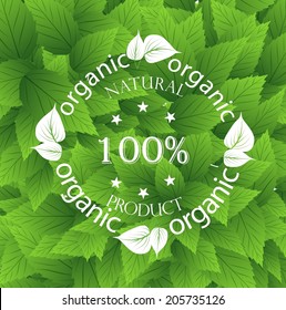 Design labels on a background of leaves.