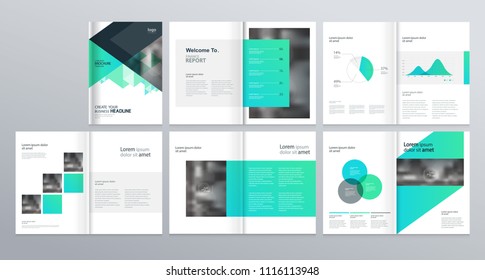 Design layout template  for comany profile ,annual report with cover, brochures, flyers, presentations, leaflet, magazine,book and and vector a4 size for editable.
