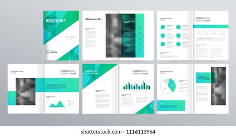 Design layout template  for comany profile ,annual report with cover, brochures, flyers, presentations, leaflet, magazine,book and and vector a4 size for editable.
