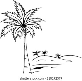 design lines of coconut trees.