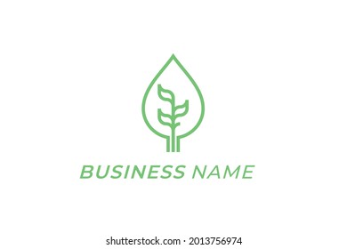diseño logo planta creativa y hoja