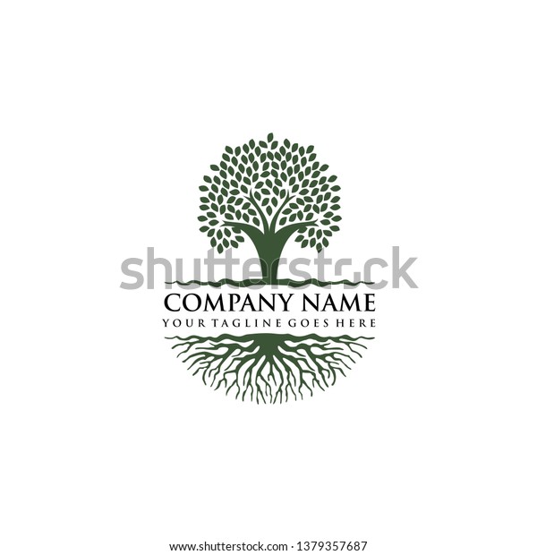 Design Logo Pohon  Dan Akar Stock Vector Royalty Free 