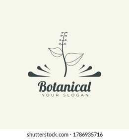 Design logo symbol icon sign. Illustration vector of an organic leaf. Graphic plant element logo. Botanical nature flower logo. minimalist organic concept beautiful logo minimalist Free Vector.