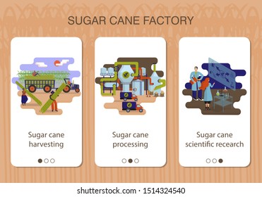 Design of mobile app to onboarding screens. Set of mobile app pages of sugar cane factory about sugar cane harvesting, processing and scientific recearch. Flat vector style