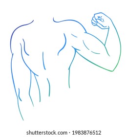 Diseño del empate muscular