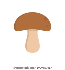 The design of the mushrooms fruit and vegetables flat icon vector illustration, this vector is suitable for icons, logos, illustrations, stickers, books, covers, etc.
