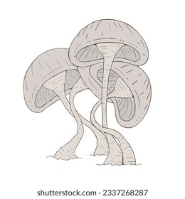 Design of mushrooms hand draw
