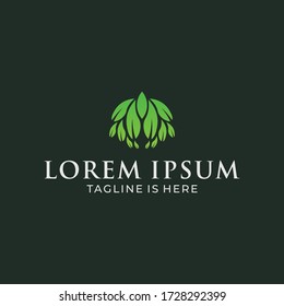 Design natural logos with leaves.
