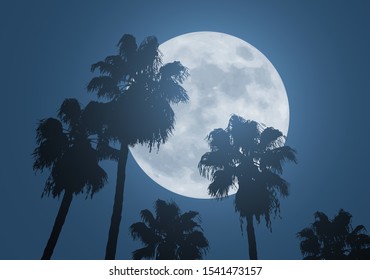 design of nice moon and palms
