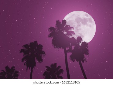 Design of nice moon and palms