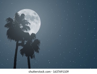 Design of nice moon and palms
