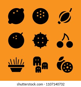 design, nut, ocean and small icon set. Vector illustration for web and design.