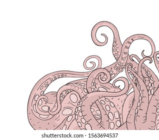 design of octopus creature illustration