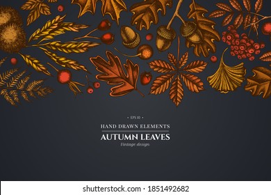 Design on dark background with fern, dog rose, rowan, ginkgo, maple, oak, horse chestnut, chestnut, hawthorn