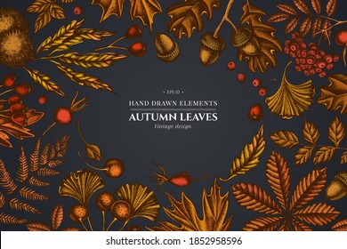 Design on dark background with fern, dog rose, rowan, ginkgo, maple, oak, horse chestnut, chestnut, hawthorn