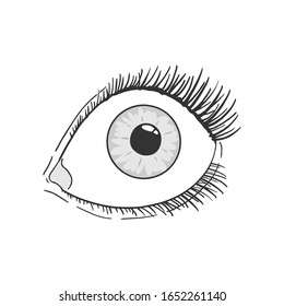 Design of opened woman eye