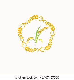 Design Orange brown paddy rice premium natural