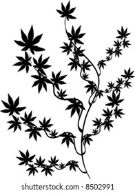 design ornament