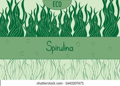 Design for packaging. Algae, spirulina. Tablets with algae, spirulina powder. Vector illustration.