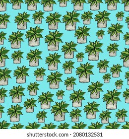 Design pattern of flowers in pots on a medium light shade og cyan background.