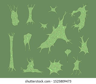 Design of pieces of organic material set