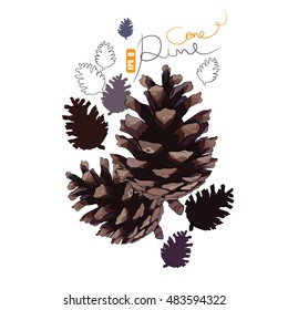 Design of pine cones, vector illustration