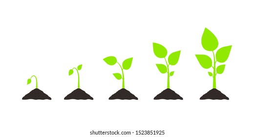 Design plants growing in the ground. Vector illustration