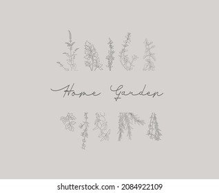 
Design with plants on a gray background. Cover, stencil for the design of notebooks,
books, notebooks, postcards, invitations. Vector with a hand sketch on a light background. 
Illustration in a mode