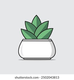 design of plants in pots