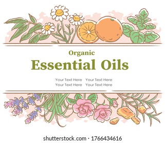 Design with popular essential oil flowers and herbs. Vector illustration.
