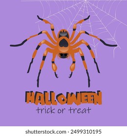 Diseño de una postal, Anuncio, cartel para un evento de Halloween. Araña de tarántula aterradora naranja sobre fondo púrpura