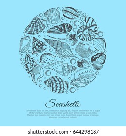 The design of the poster of seashells, arranged in a circle and inscription. Vector