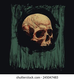 Design for poster or t-shirt print with skull and circle grunge textures. vector illustration