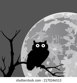 Design for posters, themed night