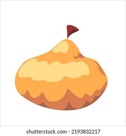 design of the pumpkin fruit and vegetables flat icon vector illustration