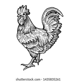 Design rooster detail design art