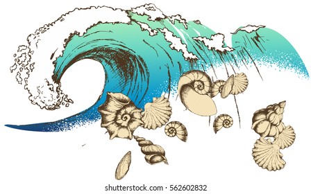 Design with seashells and waves as symbol of summer vacation. Engraved style. Vector illustration 